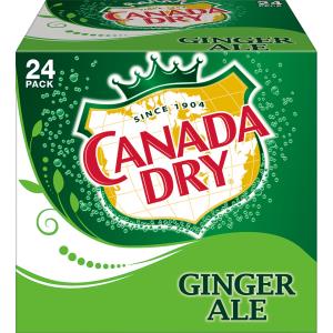 ginger-ale-can-price-2