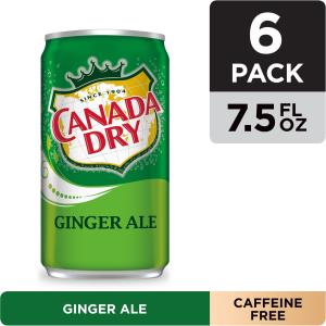 ginger-ale-can-price-3
