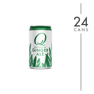 24-cans-ginger-ale-with-beer