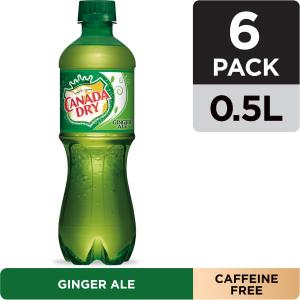 can-you-substitute-ginger-ale-for-ginger-beer-1