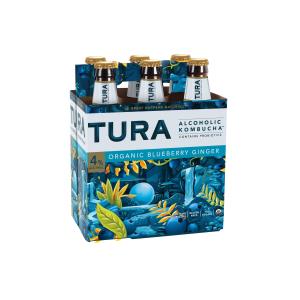 tura-alcoholic-organic-ginger-beer-brands